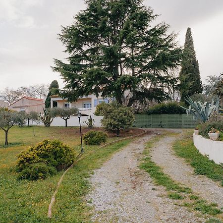 Les Gites De Ginestas Экстерьер фото